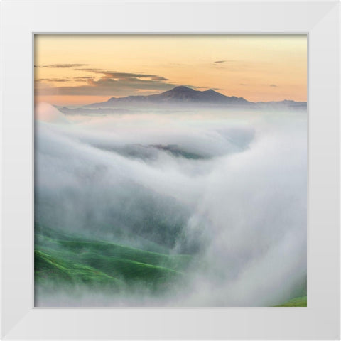 Foggy Morning White Modern Wood Framed Art Print by Pawlak, Jarek
