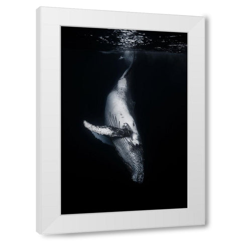 Black Whale White Modern Wood Framed Art Print by Gabriel, Barathieu
