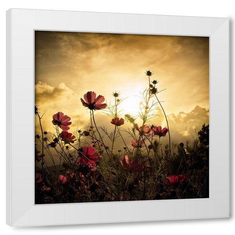 Watching The Sun White Modern Wood Framed Art Print by Marcel, Christian