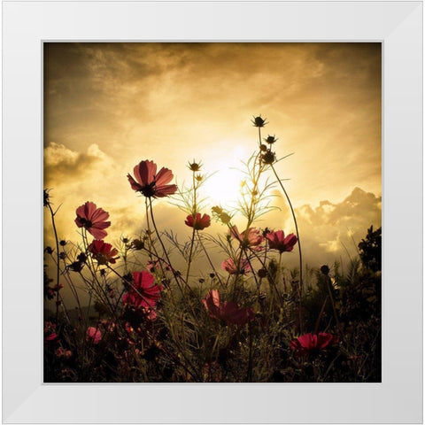 Watching The Sun White Modern Wood Framed Art Print by Marcel, Christian