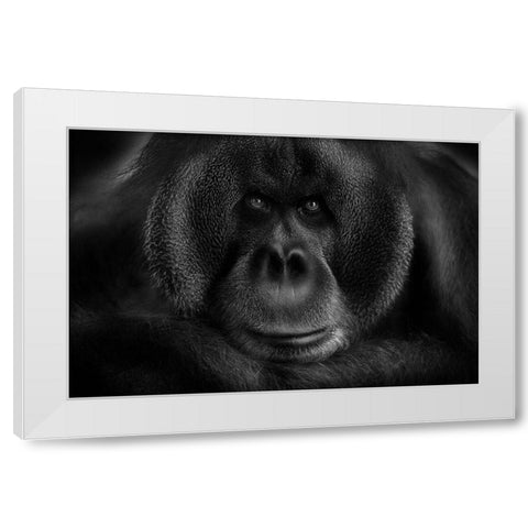 Maurice White Modern Wood Framed Art Print by Wildkay