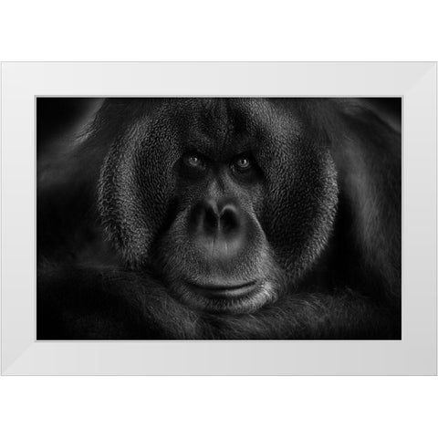 Maurice White Modern Wood Framed Art Print by Wildkay
