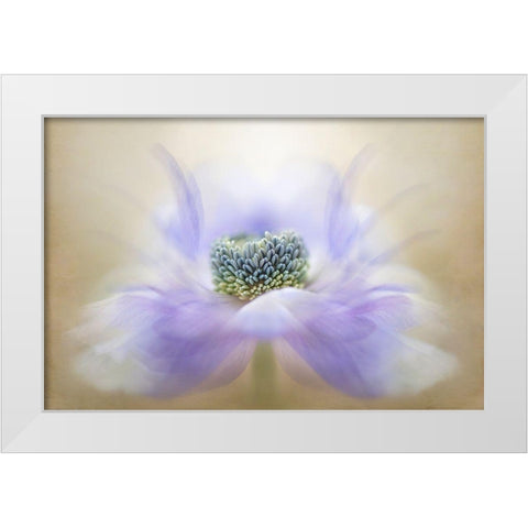 Breeze White Modern Wood Framed Art Print by Parker, Jacky