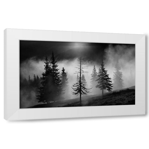 Misty Forest White Modern Wood Framed Art Print by Oncete, Julien