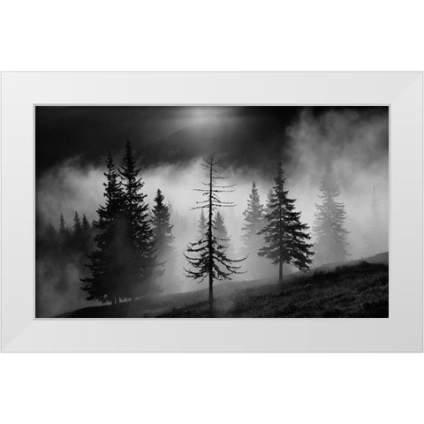 Misty Forest White Modern Wood Framed Art Print by Oncete, Julien