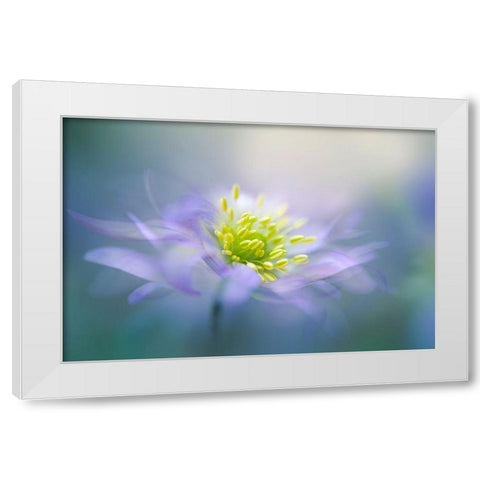 Windflower White Modern Wood Framed Art Print by Parker, Jacky