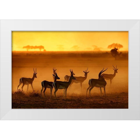Golden Light White Modern Wood Framed Art Print by Guillemot, Mathilde