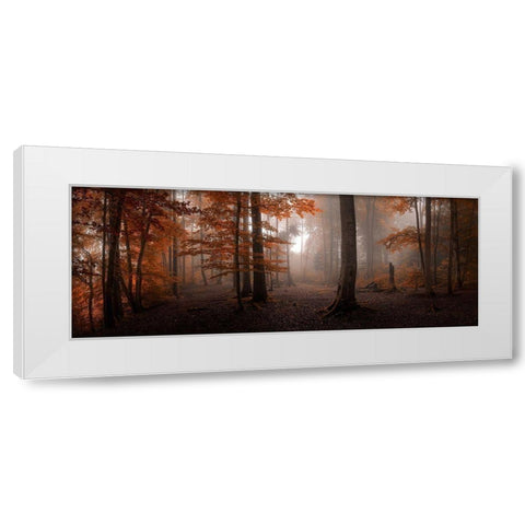 Autumn White Modern Wood Framed Art Print by Meier, Tom