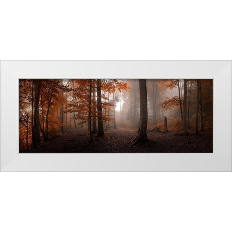 Autumn White Modern Wood Framed Art Print by Meier, Tom