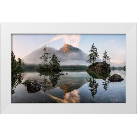 Natures Awakening White Modern Wood Framed Art Print by Gastager, Daniel