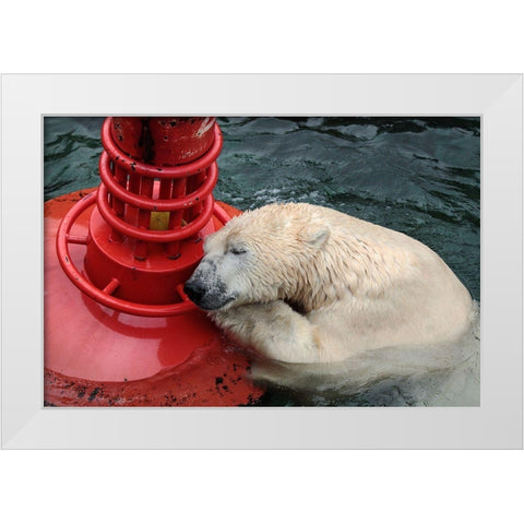 My Buoy A My Melon White Modern Wood Framed Art Print by Wenner-Braun, Antje