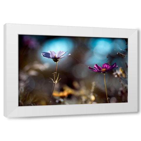 Le Lien White Modern Wood Framed Art Print by Bravin, Fabien