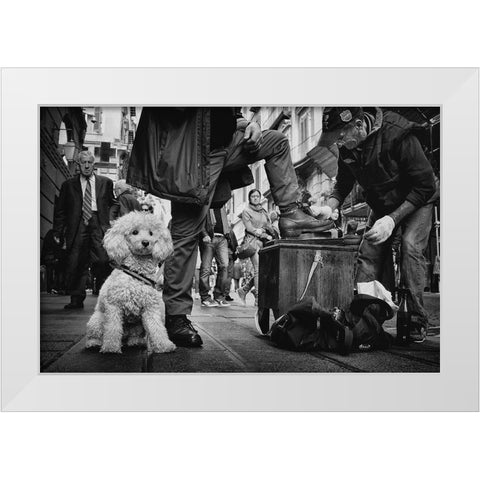 Antonio-Ultimo Lucidascarpe Di Napoli White Modern Wood Framed Art Print by Grambone, Antonio