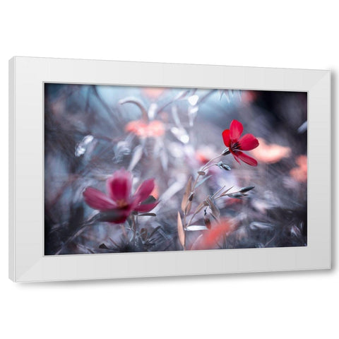 Une Fleur-Une Histoire White Modern Wood Framed Art Print by Bravin, Fabien