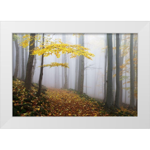 Untitled White Modern Wood Framed Art Print by Rak, Martin