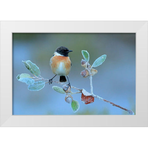 Hard Winter White Modern Wood Framed Art Print by Miguel Dominguez, Andres