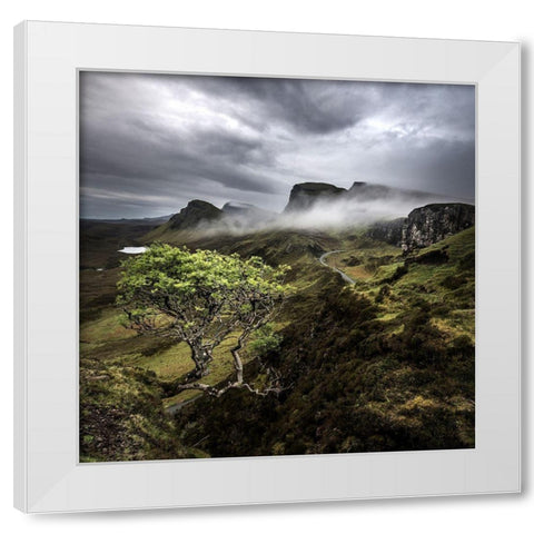 Quirange White Modern Wood Framed Art Print by Thorberntsson, Claes