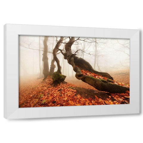 Age... White Modern Wood Framed Art Print by Rericha, Daniel