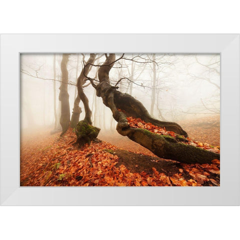 Age... White Modern Wood Framed Art Print by Rericha, Daniel