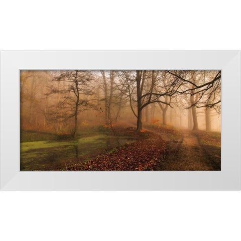 Which Path Ii White Modern Wood Framed Art Print by Londal, Leif