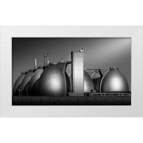 Eggs White Modern Wood Framed Art Print by Rauwerdink, Jan