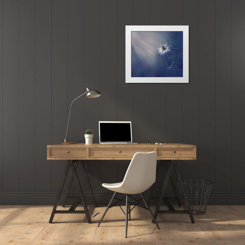 ....* White Modern Wood Framed Art Print by Lazarov, Dimitar