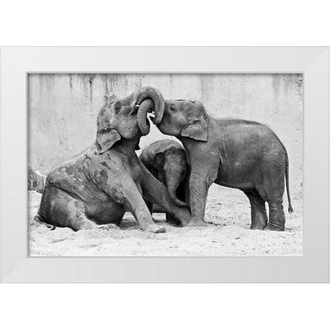 Ma?Nage A? Trois White Modern Wood Framed Art Print by Wenner-Braun, Antje