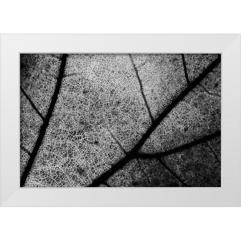 Streets White Modern Wood Framed Art Print by Chiarello, Matteo