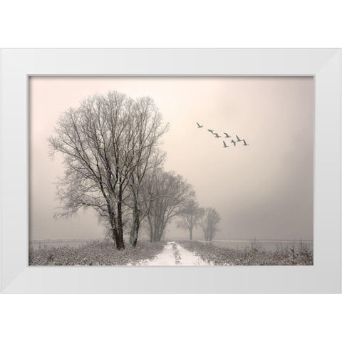 Winterlight White Modern Wood Framed Art Print by Urlings, Lou