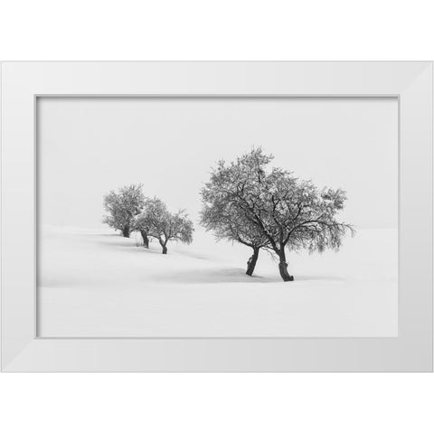 White Carpet Ii White Modern Wood Framed Art Print by Carrillo Lopez, Antonio