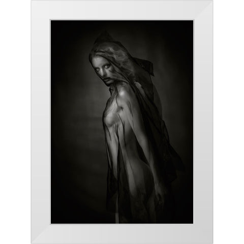 Sheer Black White Modern Wood Framed Art Print by Catchlight Studio