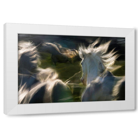 Saeta Equina White Modern Wood Framed Art Print by Malovrh, Milan