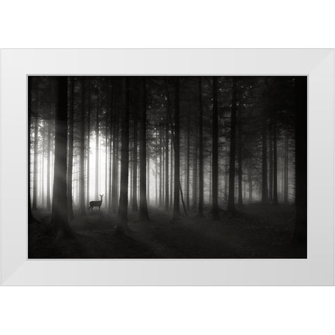 Deer`S Morning White Modern Wood Framed Art Print by Hessel, Christoph