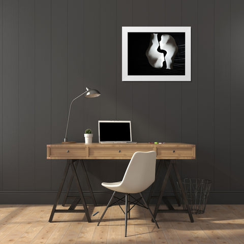 Twins White Modern Wood Framed Art Print by Zahirimehr, Maryam