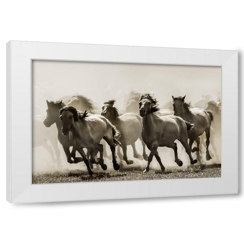 Horse White Modern Wood Framed Art Print by Bartsch, Heidi