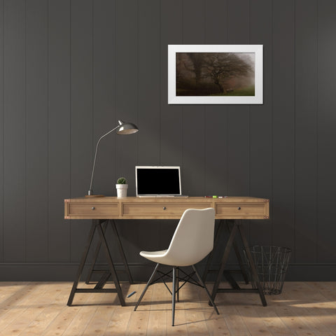 If The Tree Could Talk White Modern Wood Framed Art Print by Londal, Leif