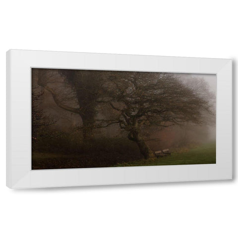 If The Tree Could Talk White Modern Wood Framed Art Print by Londal, Leif