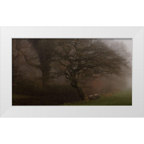 If The Tree Could Talk White Modern Wood Framed Art Print by Londal, Leif