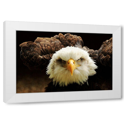 The Judge White Modern Wood Framed Art Print by Kirwan, Tim