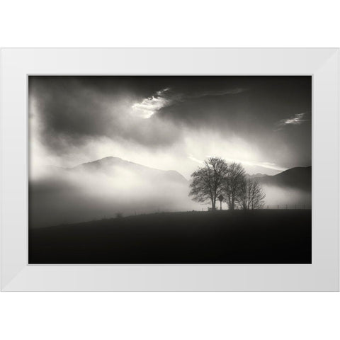 Morning Mood White Modern Wood Framed Art Print by Pauli, Nina