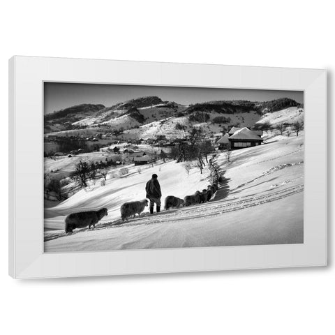 Meandering White Modern Wood Framed Art Print by Harag, Ionut
