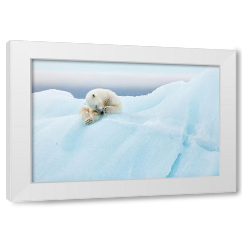 Polar Bear Grooming White Modern Wood Framed Art Print by Gil Raga, Joan