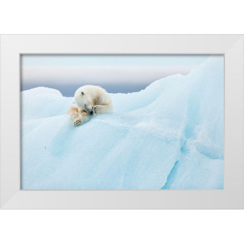 Polar Bear Grooming White Modern Wood Framed Art Print by Gil Raga, Joan