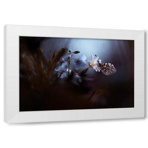 In Your Dreams-Everything Is Alright White Modern Wood Framed Art Print by Bravin, Fabien