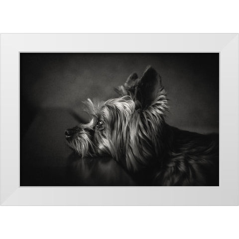 I Have Been Waiting For You ... White Modern Wood Framed Art Print by Lacz, Krisztina