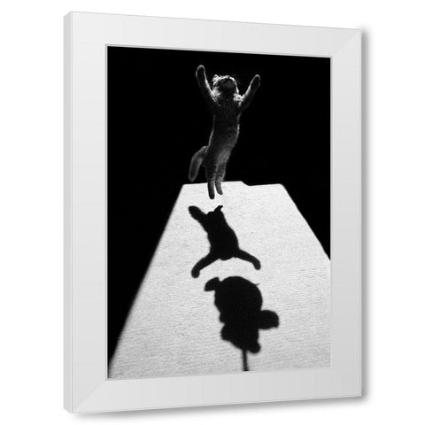Edgar The Great White Modern Wood Framed Art Print by Kravanja, Jure