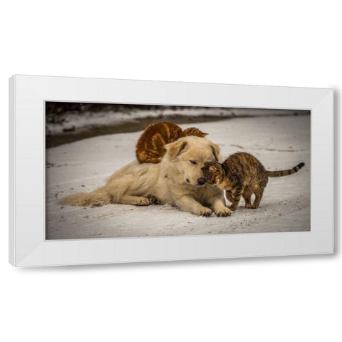 Sweet Effusions White Modern Wood Framed Art Print by Lucidi, Riccardo