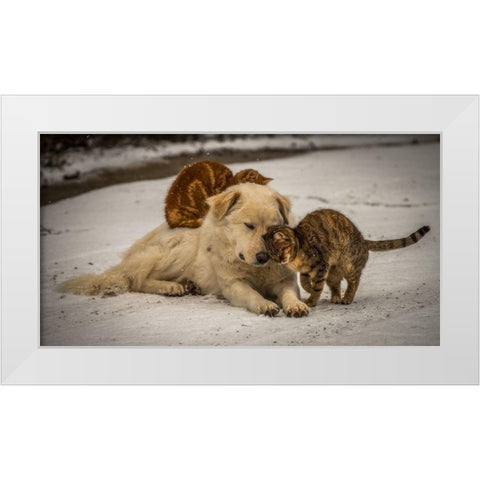 Sweet Effusions White Modern Wood Framed Art Print by Lucidi, Riccardo