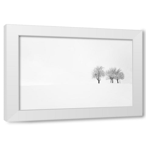 Tree And Silence White Modern Wood Framed Art Print by Bajrich, Amir