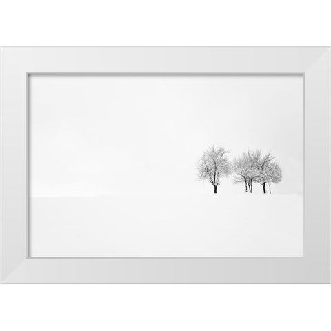 Tree And Silence White Modern Wood Framed Art Print by Bajrich, Amir